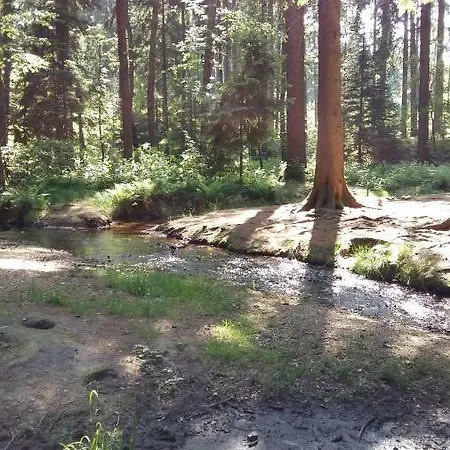Am Tharandter Wald Гостевой дом Grillenburg